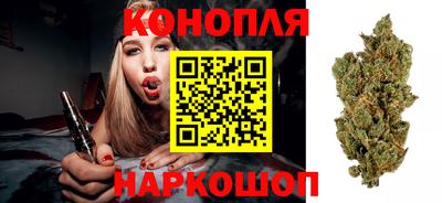 бошки Абакан