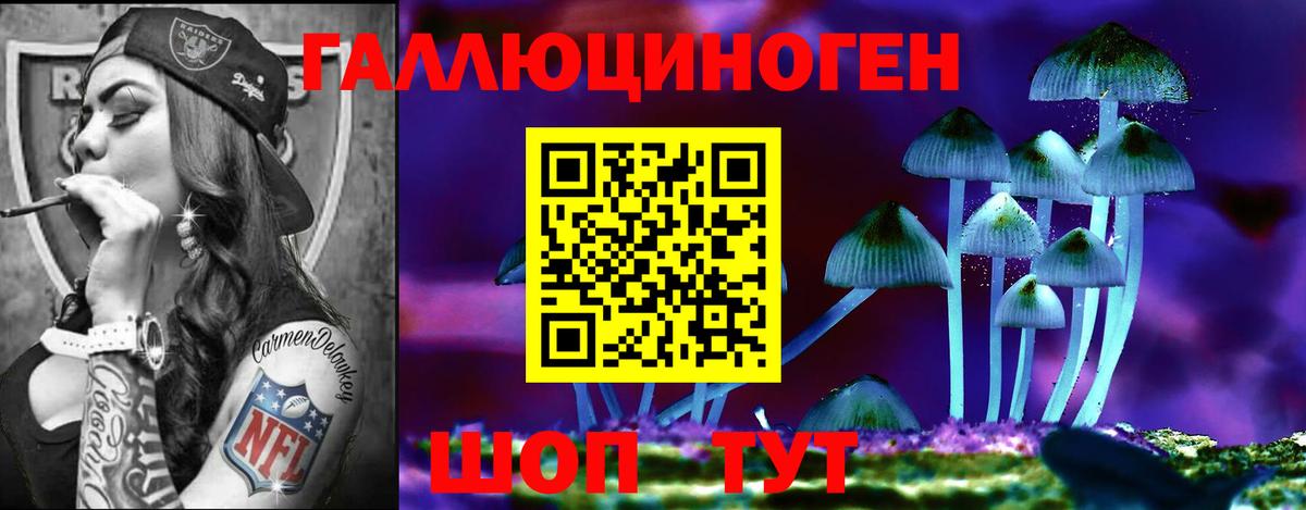 Ачхой-Мартан  Псилоцибиновые грибы Cubensis  Вход с VPN  Галлюциногенные грибы Magic Shrooms 